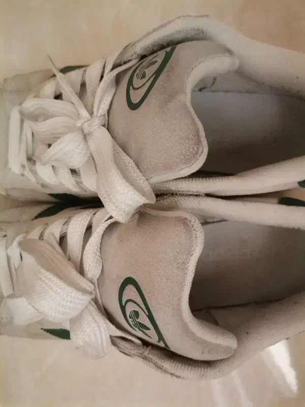 کتونی|کیف، کفش، کمربند|تهران, مسعودیه|دیوار