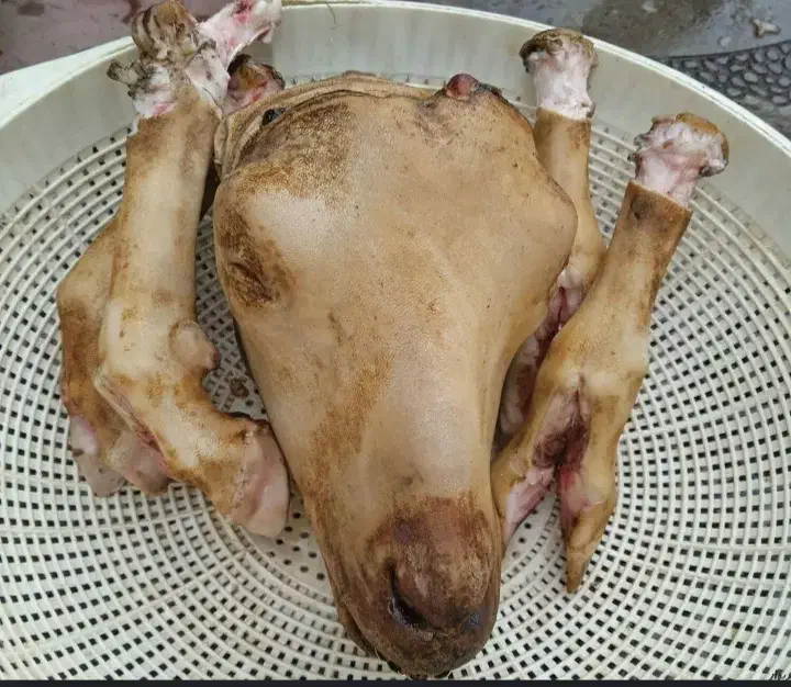 تمیز کردن کله پاچه|خوردنی و آشامیدنی|اسکو, |دیوار