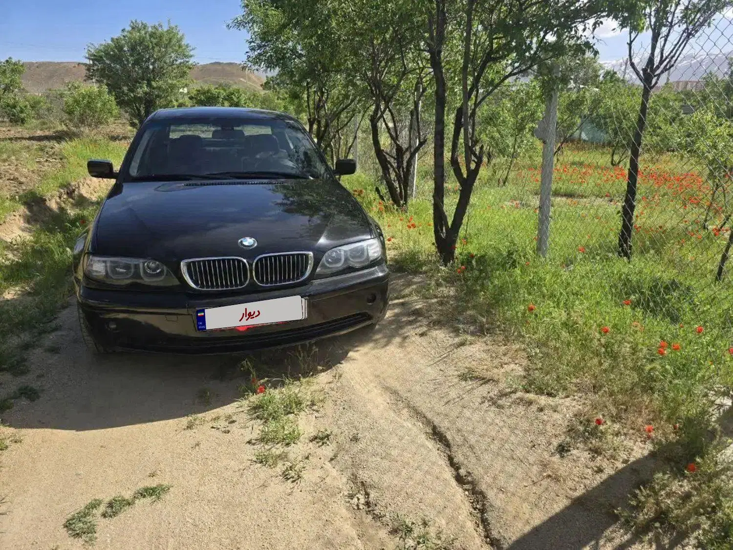 318 BMW e46 معاوضه با دودف|خودرو سواری و وانت|همدان, |دیوار