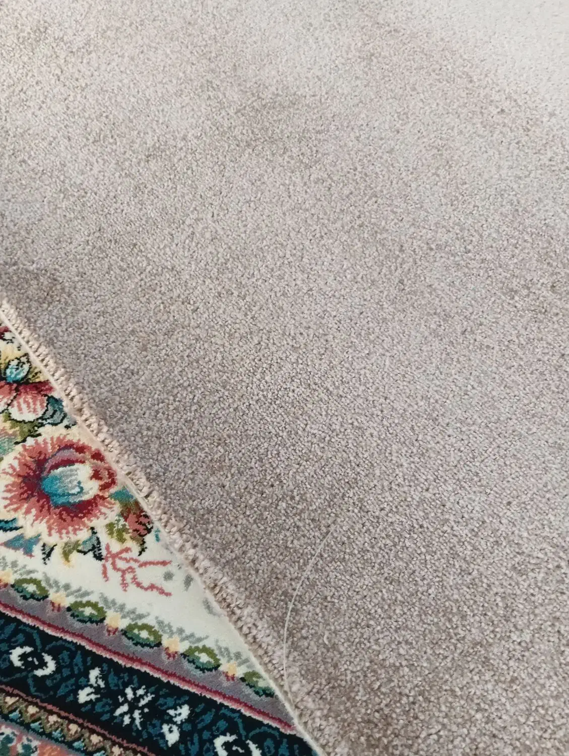 موکد|موکت|لالجین, |دیوار