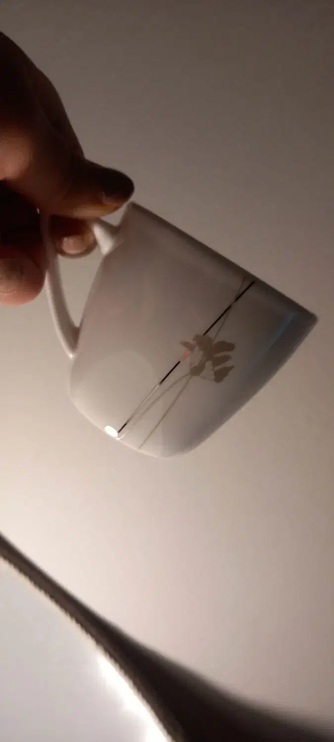 سرویس چینی بن چاین المان برندconix|ظروف سرو و پذیرایی|مشهد, رضاشهر|دیوار