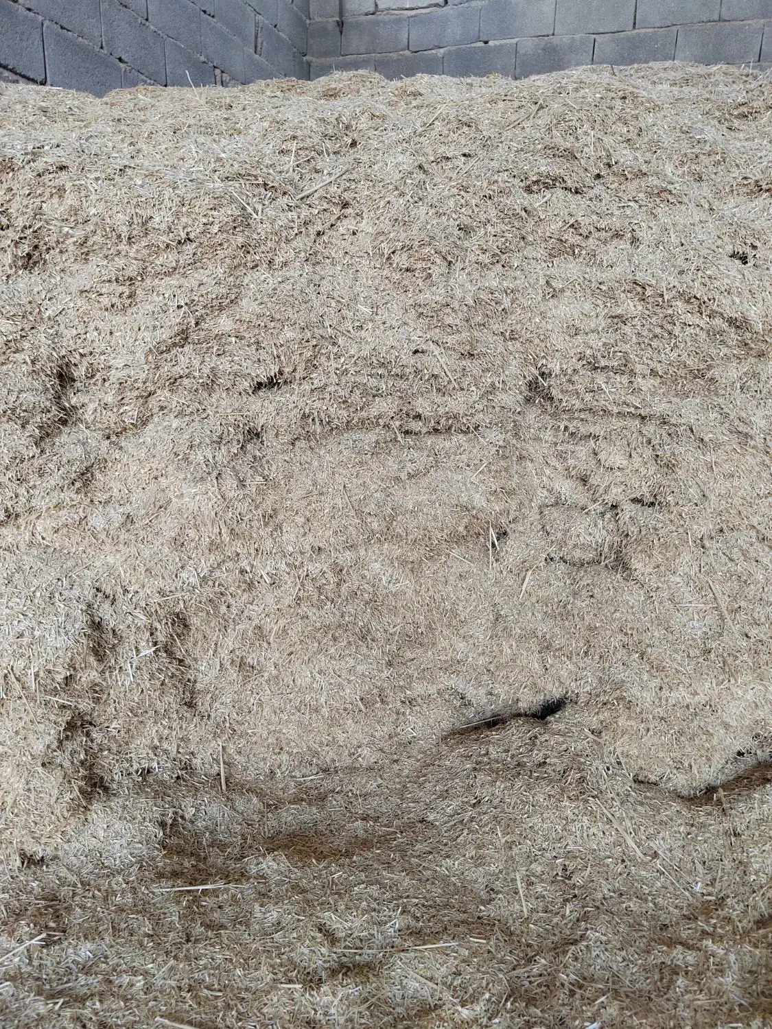 کاه سفید (گندم)|حیوانات مزرعه|طسوج, |دیوار