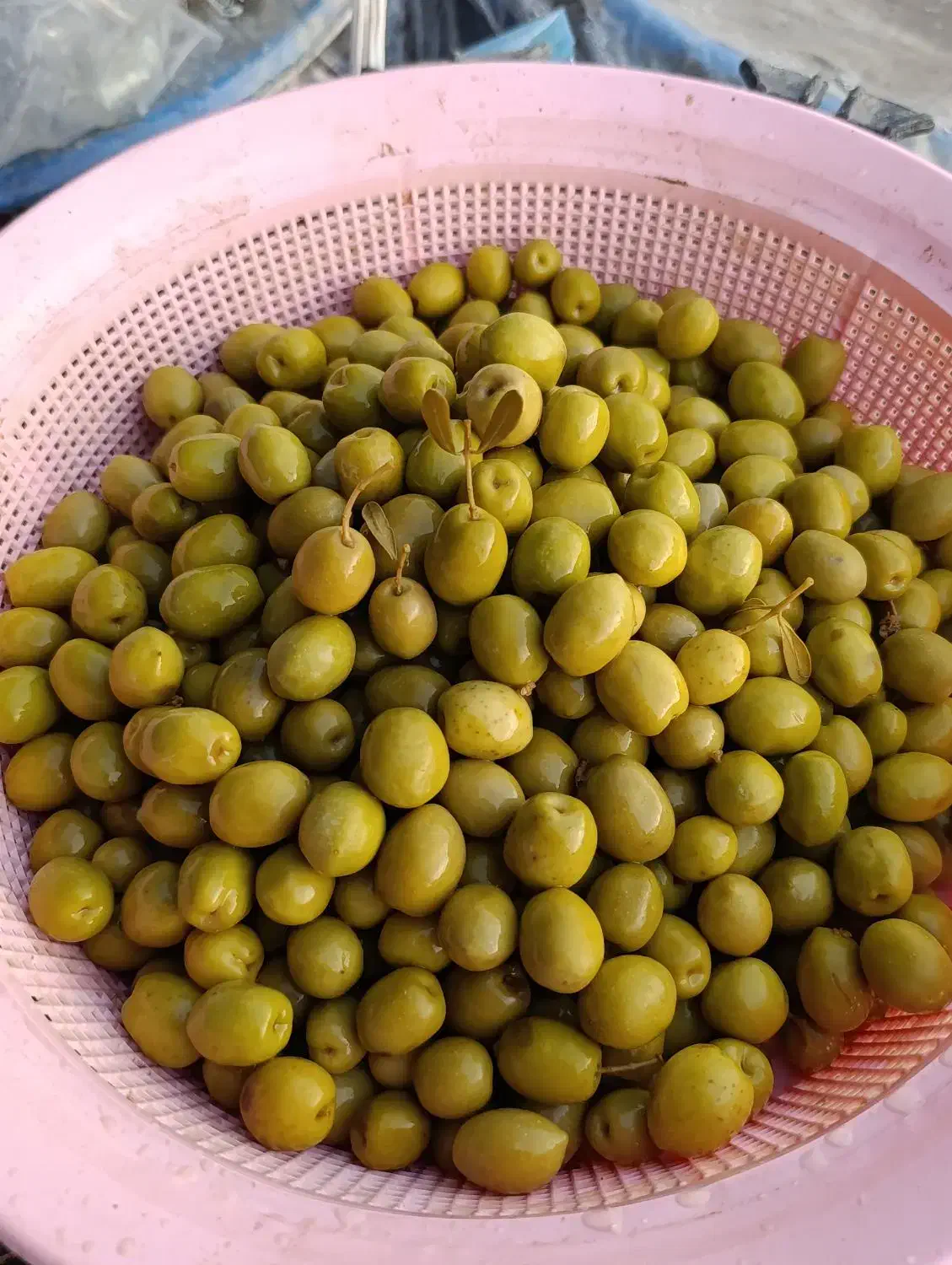 زیتون کنسروی امساله طارم(اعلاء)|خوردنی و آشامیدنی|طارم, |دیوار