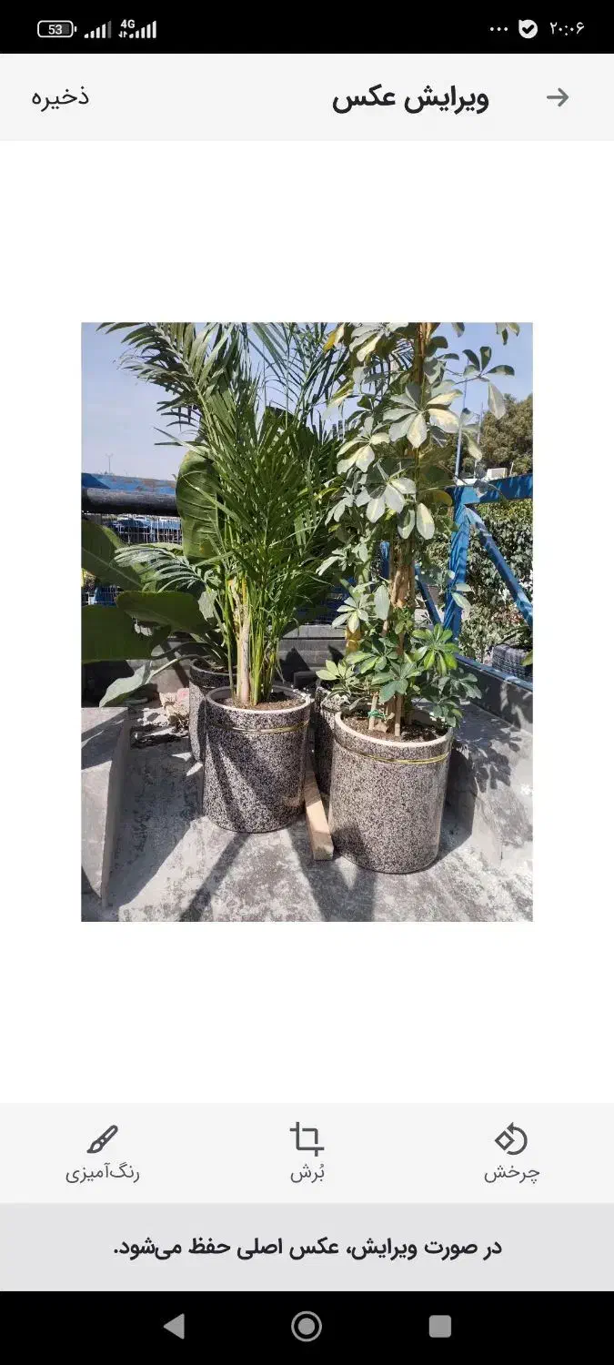 هرس کردن درخت ودرخچه وکاشت گل وگیاه و...|خدمات باغبانی و درختکاری|بندرعباس, |دیوار