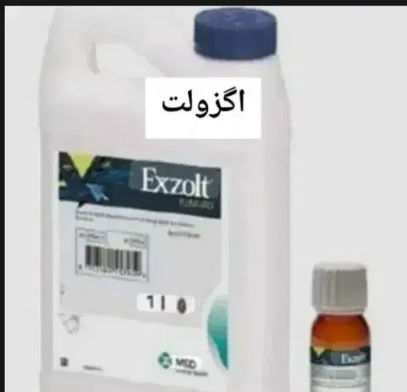 انواع دارو و مکمل پرنده|لوازم جانبی حیوانات|پاکدشت, پاکدشت (مامازند)|دیوار