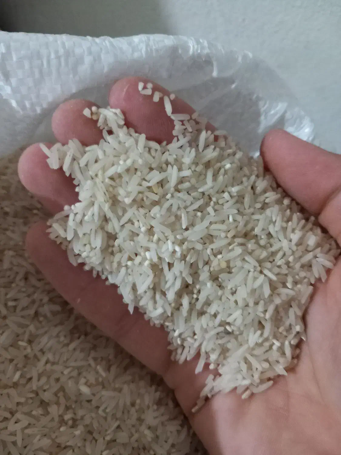 برنج سرلاشه وفجر موجود میباشد|خوردنی و آشامیدنی|گنبد کاووس, |دیوار