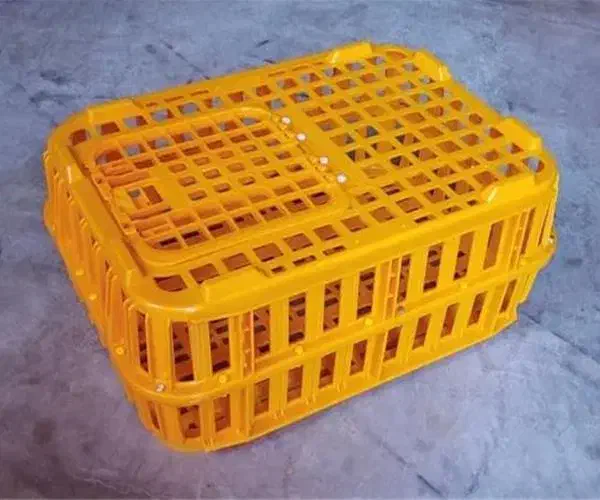 جعبه مرغ زنده|لوازم جانبی حیوانات|لردگان, |دیوار