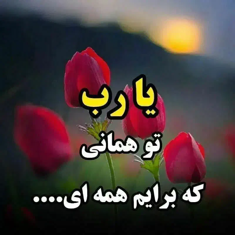 خواندن نماز قضای  سالیانه میت|فعالیت داوطلبانه|شیراز, طلاب|دیوار