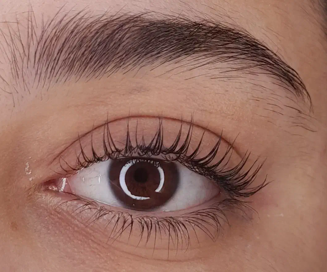 تخفیفات اکستنشن مژه و لیفت و لمینت مژه و ابرو|خدمات آرایشگری و زیبایی|داراب, |دیوار