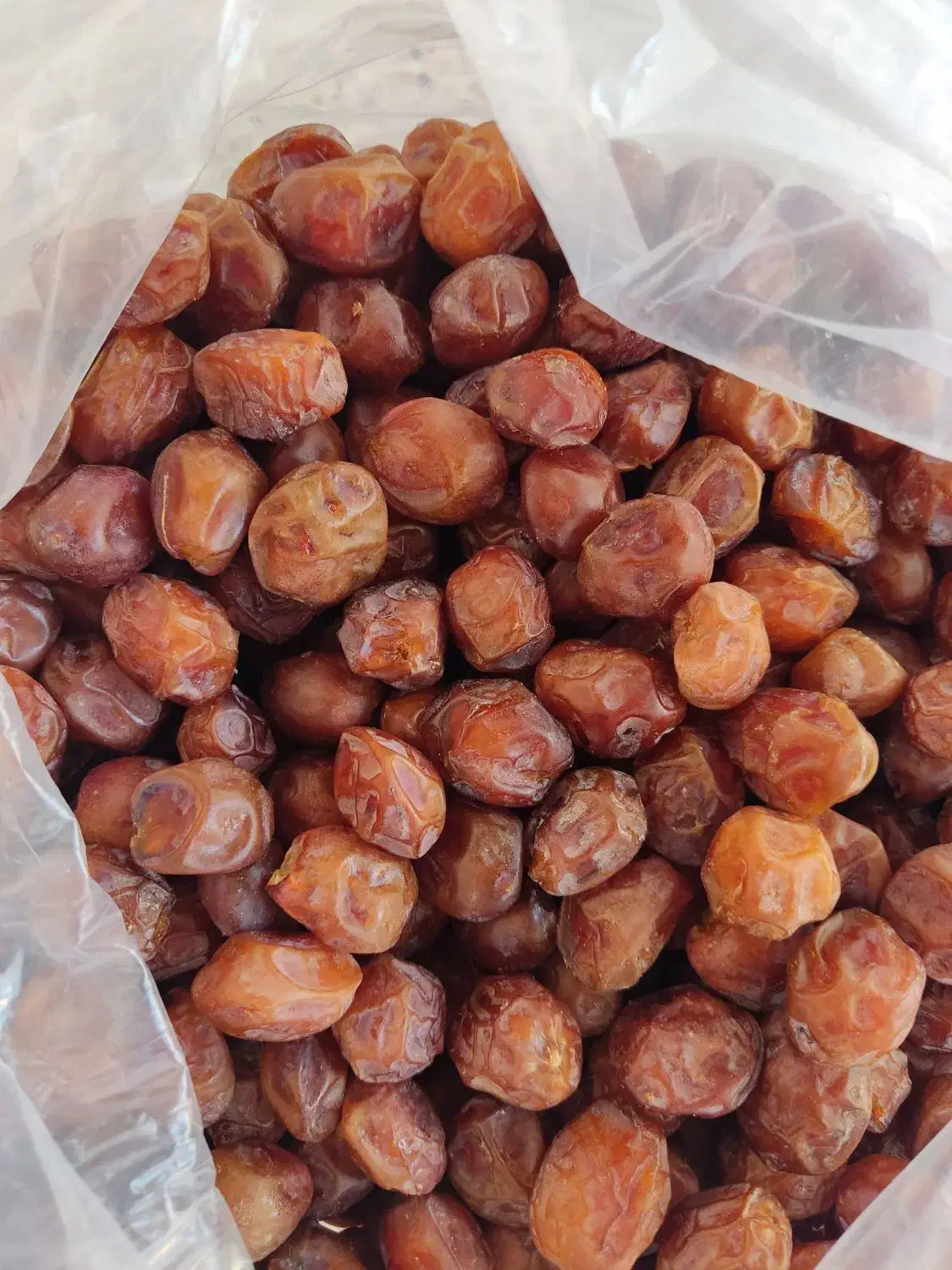 خرما خاسویی|خوردنی و آشامیدنی|لار, |دیوار