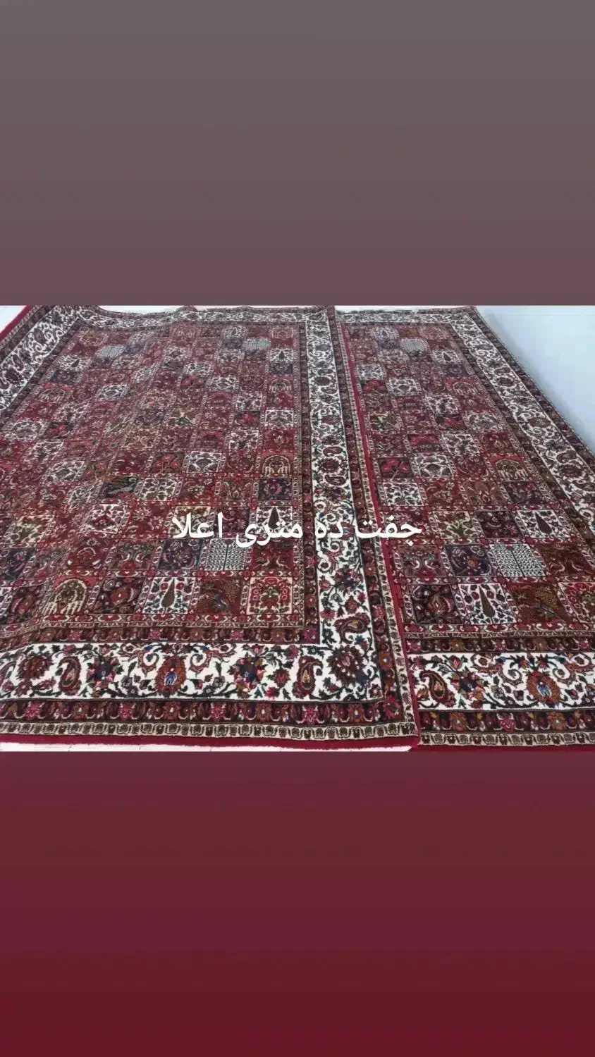 فرش دست بافت رنگ ثابت وگیاهی  ترکی باف چالشتری|فرش|شهرکرد, |دیوار