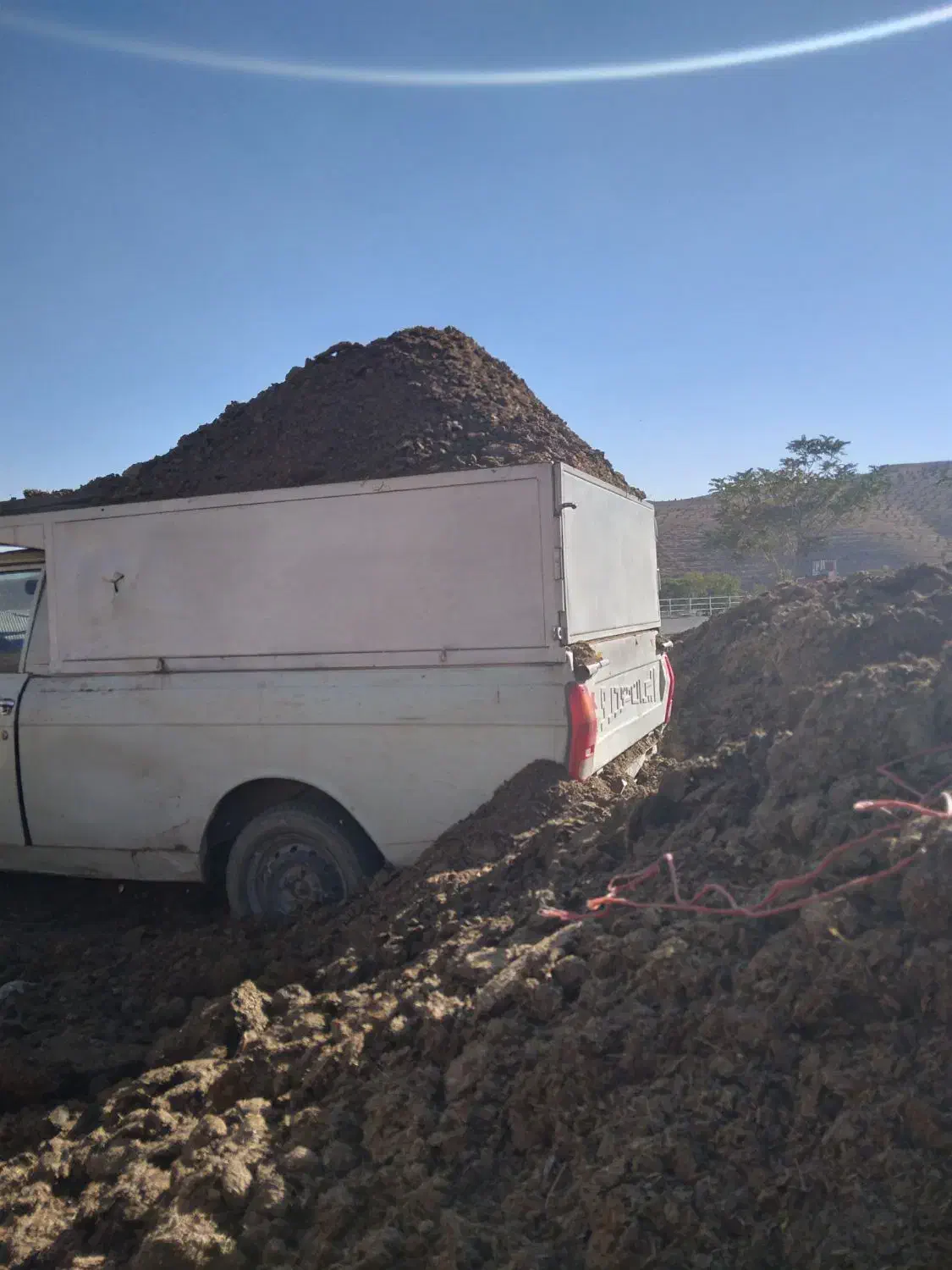 کود پوسیده|گل و گیاه طبیعی|هشتگرد, سیف آباد|دیوار