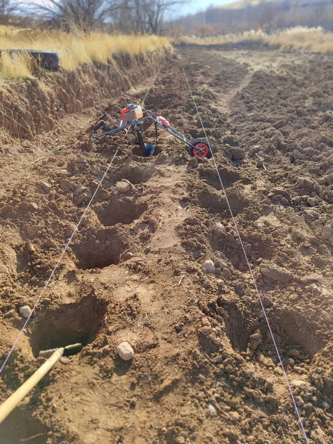 چاله فنس و چاله درخت|خدمات باغبانی و درختکاری|بروجرد, |دیوار