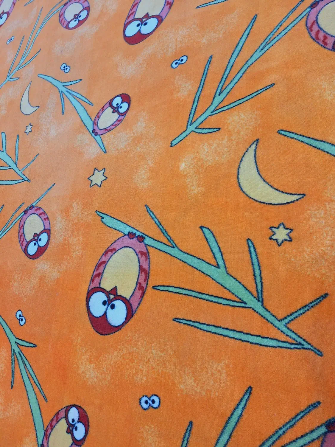 پالاز موکت|موکت|شوشتر, |دیوار