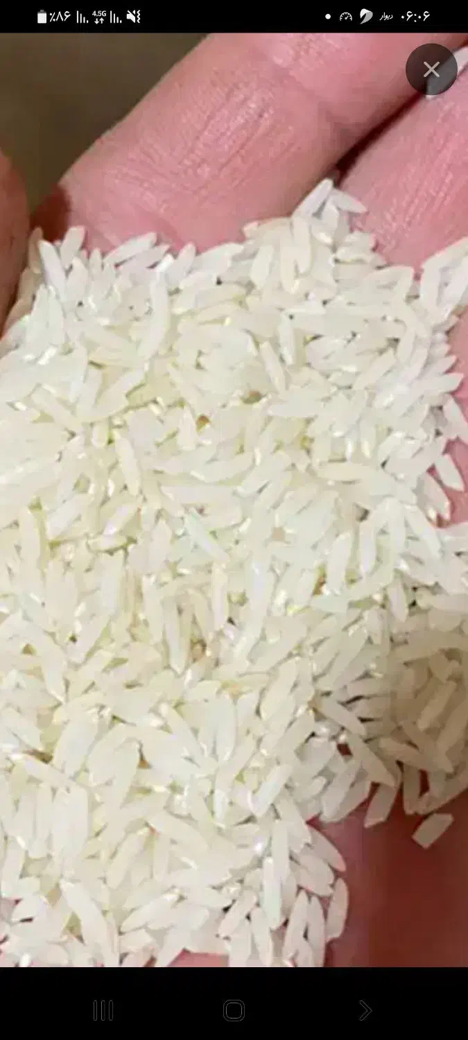 برنج فجر و دمسیاه ولاشه|حراج|گرگان, |دیوار