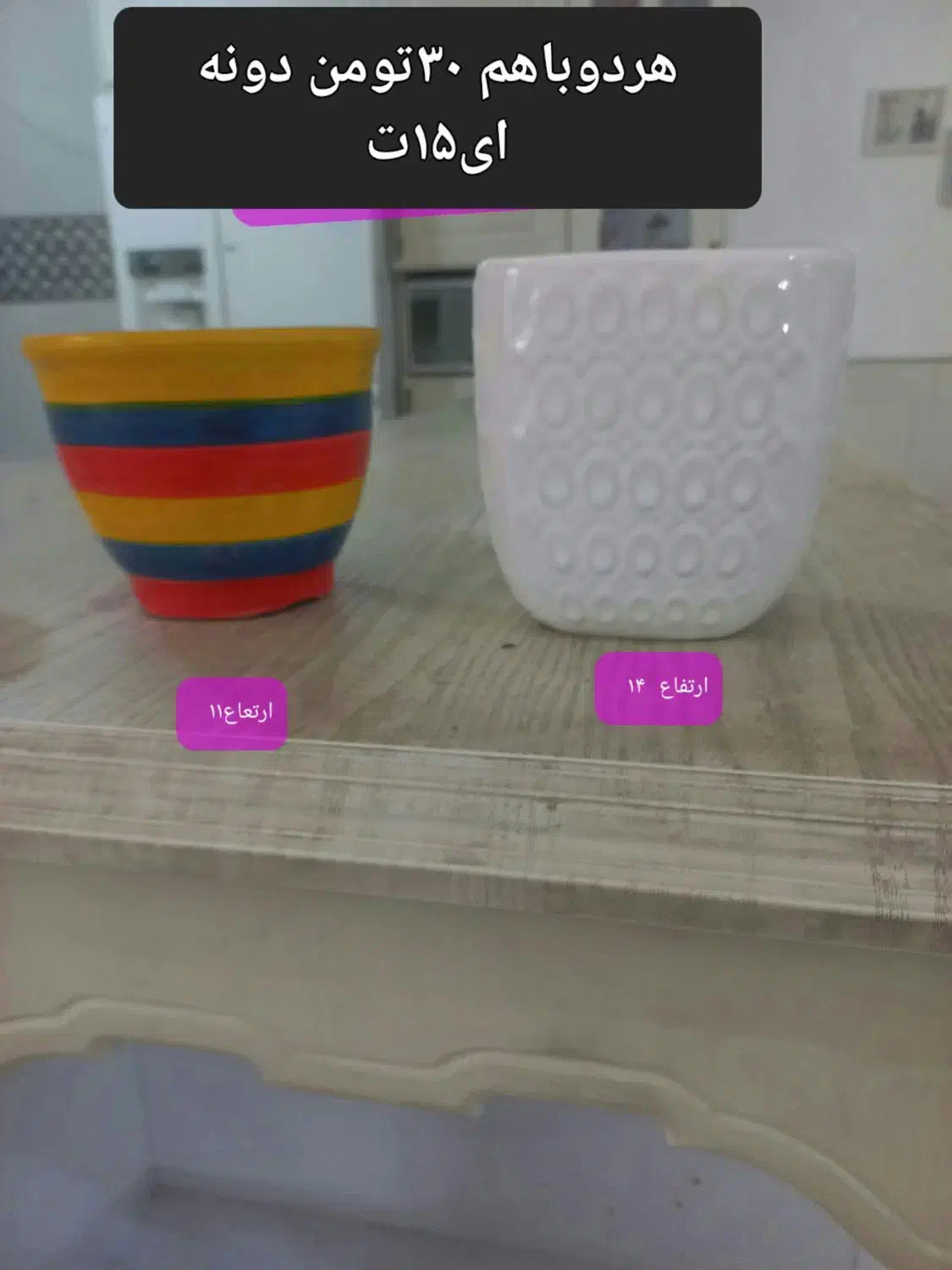 گل طبیعی وگلدان سانسوریا/ بنسای|حراج|قم, اسمعیل آباد|دیوار