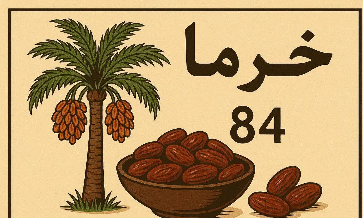 محصولات خرمایی نخیل|خوردنی و آشامیدنی|آمل, |دیوار