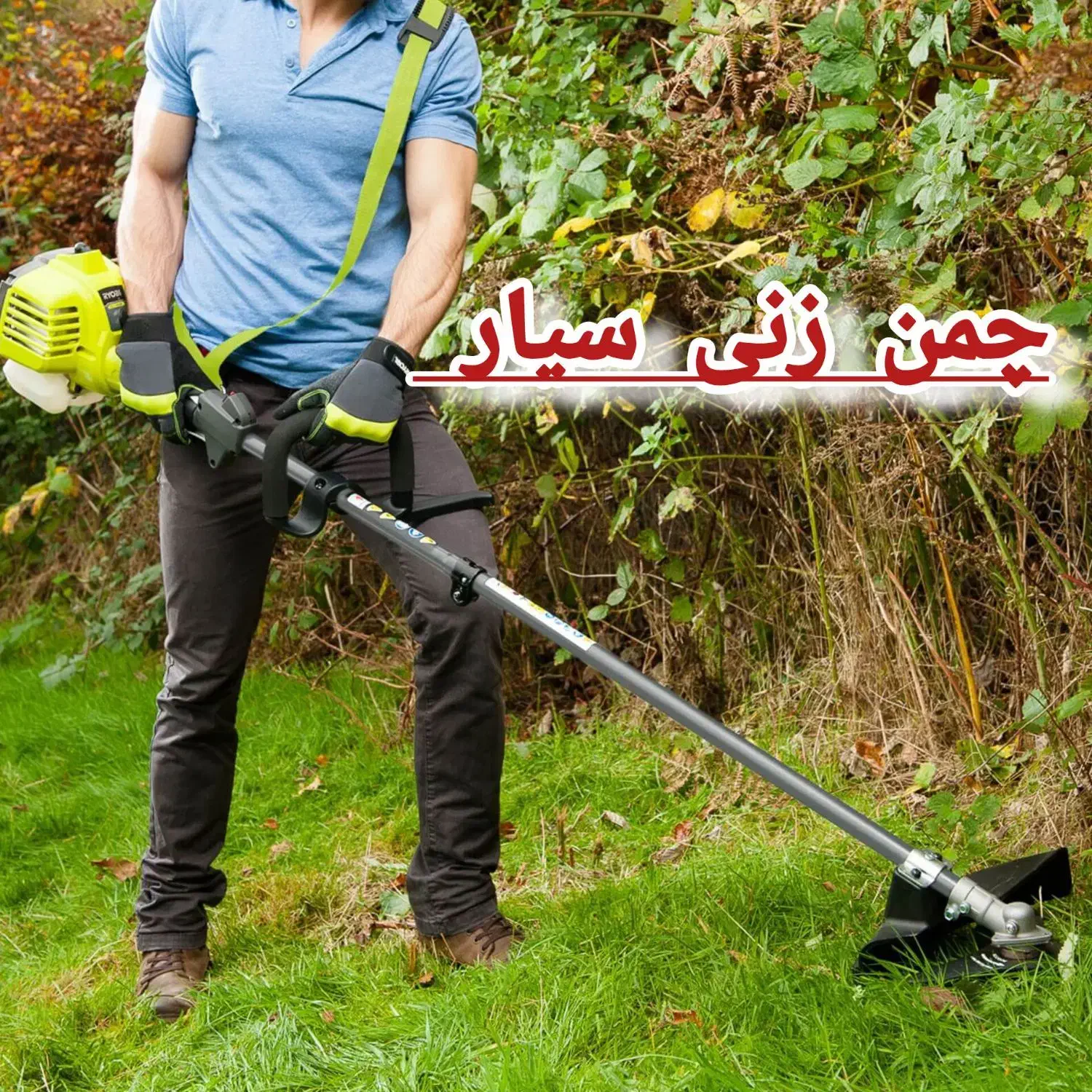 خدمات چمن زنی حاشیه زن علف زنی علف تراشی سم پاشی|خدمات باغبانی و درختکاری|رشت, گیل|دیوار