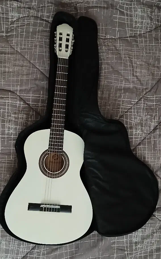 گیتار|گیتار، بیس، امپلیفایر|اصفهان, عباس‌آباد|دیوار