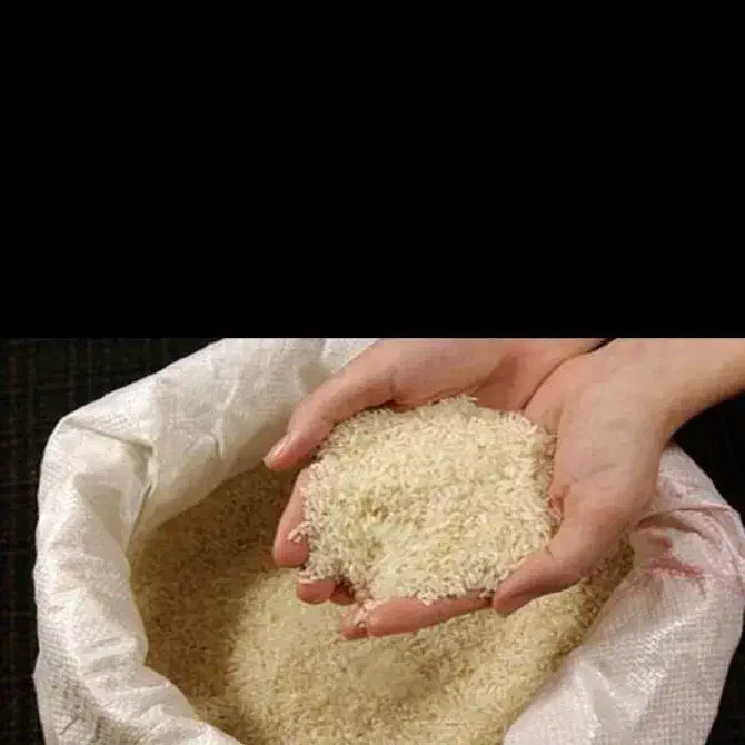 برنج صحنه کشت اول با بهترین پخت و عطر|خوردنی و آشامیدنی|صحنه, |دیوار