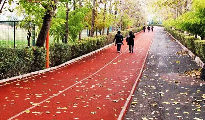 پیاده روی|فعالیت داوطلبانه|ماهدشت, |دیوار