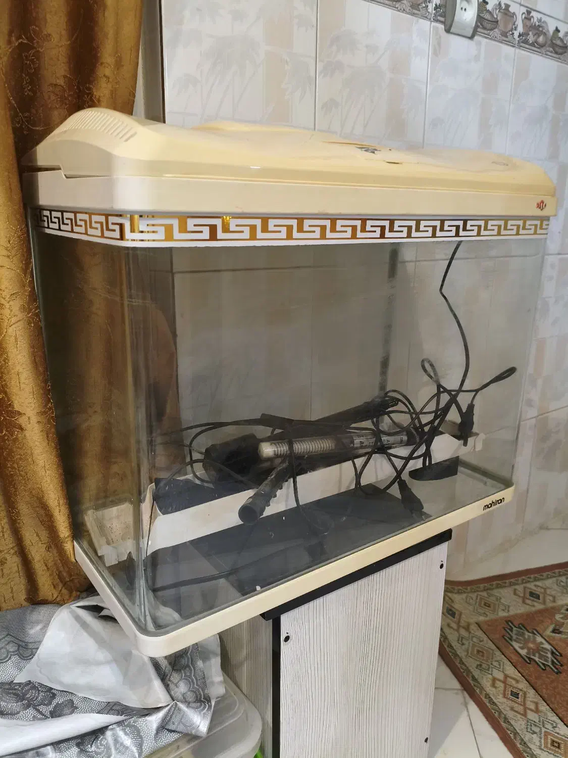 آکواریوم شرکتی ماهیران اصلی|ماهی|تهران, جنت‌آباد جنوبی|دیوار