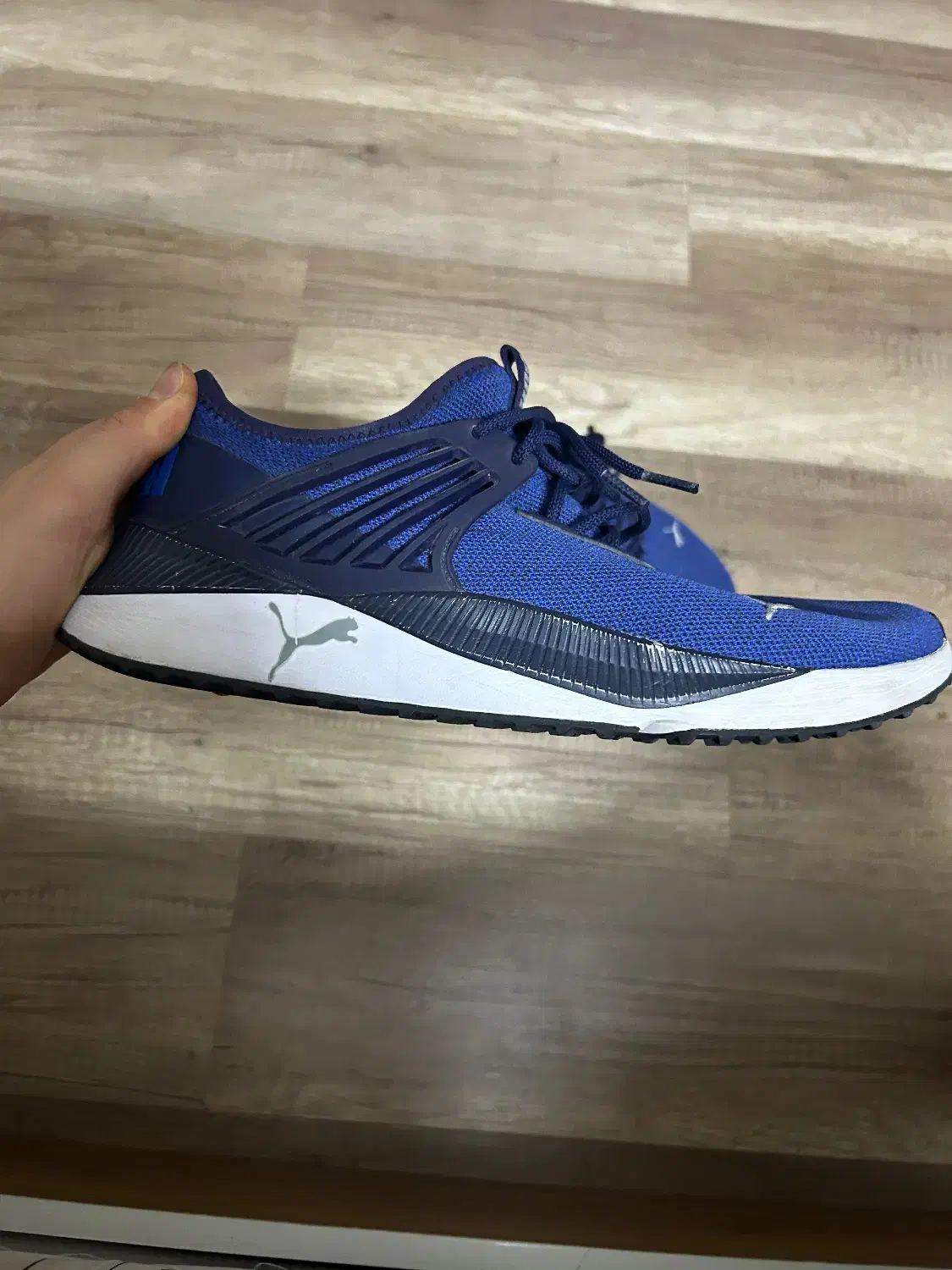 کتونی کفش اورجینال|کیف، کفش، کمربند|بروجرد, |دیوار