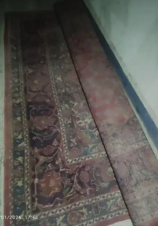 فرش|فرش|بجنورد, |دیوار