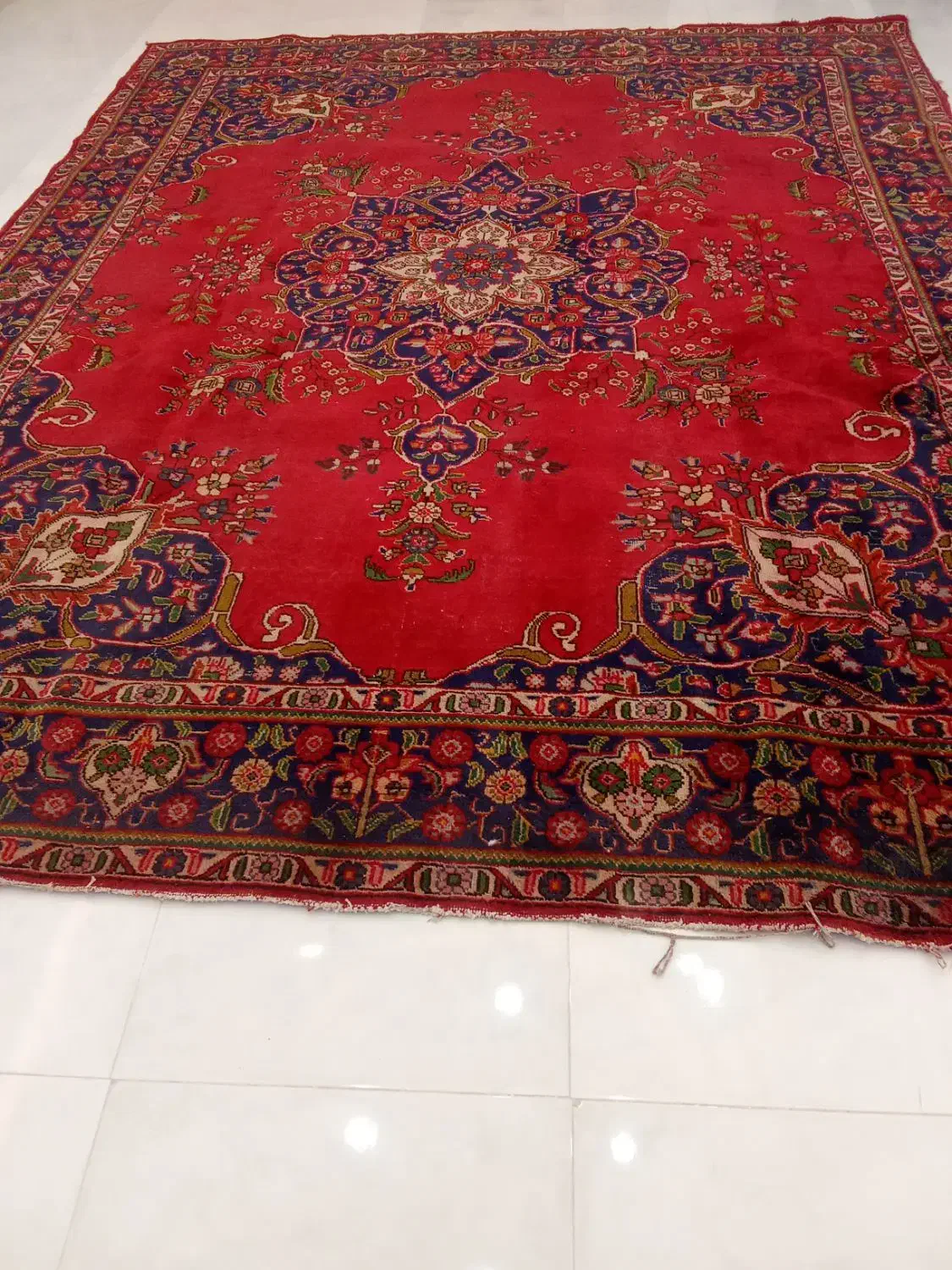 فرش دستباف|فرش|بناب, |دیوار