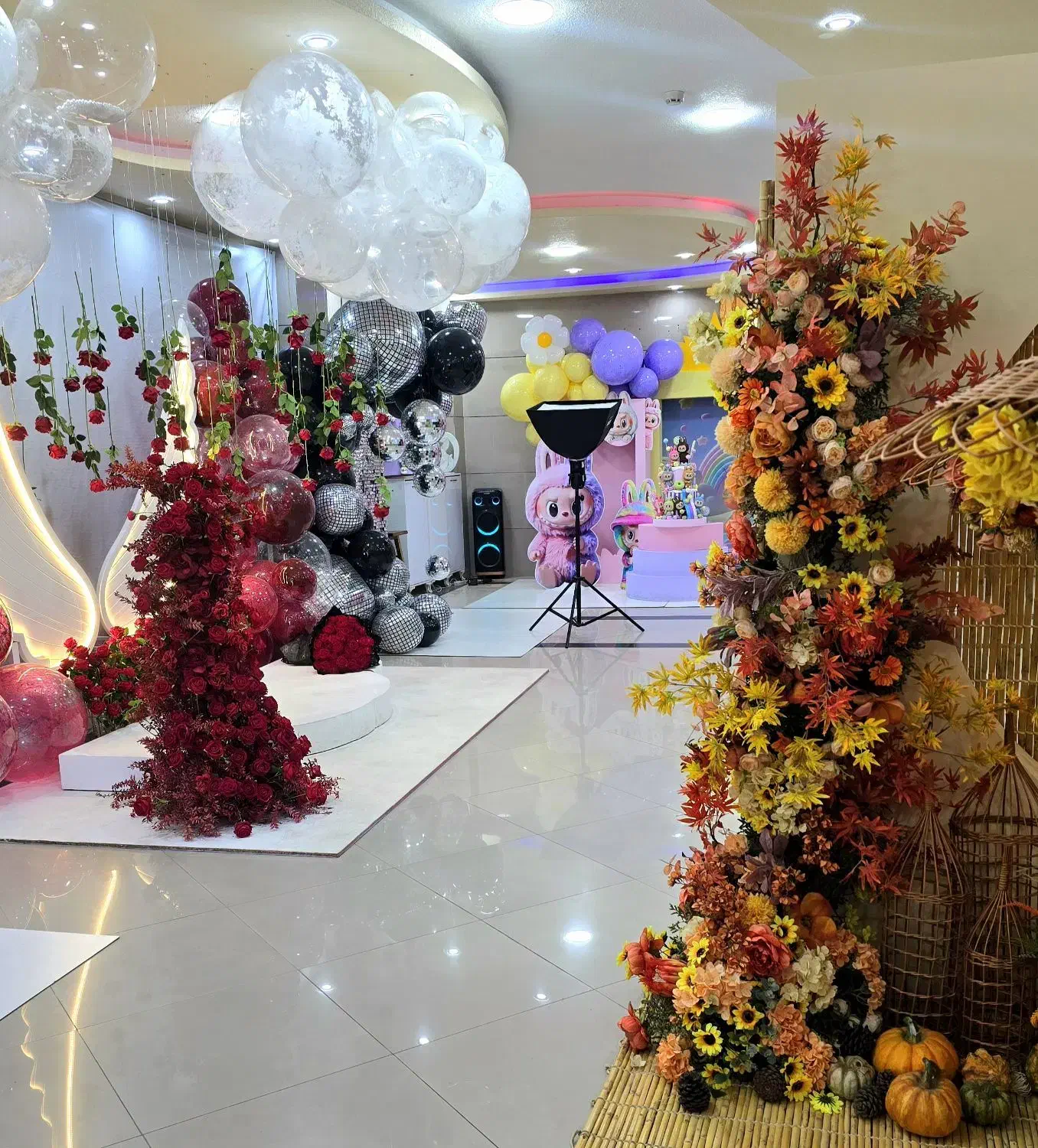 استخدام نیروی پر انرژی در استودیو عکاسی کودک|استخدام هنری و رسانه|بوشهر, |دیوار