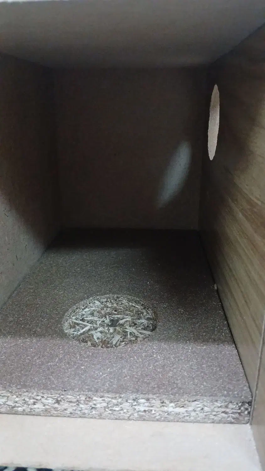 خانه پرنده|لوازم جانبی حیوانات|قم, دروازه قلعه|دیوار