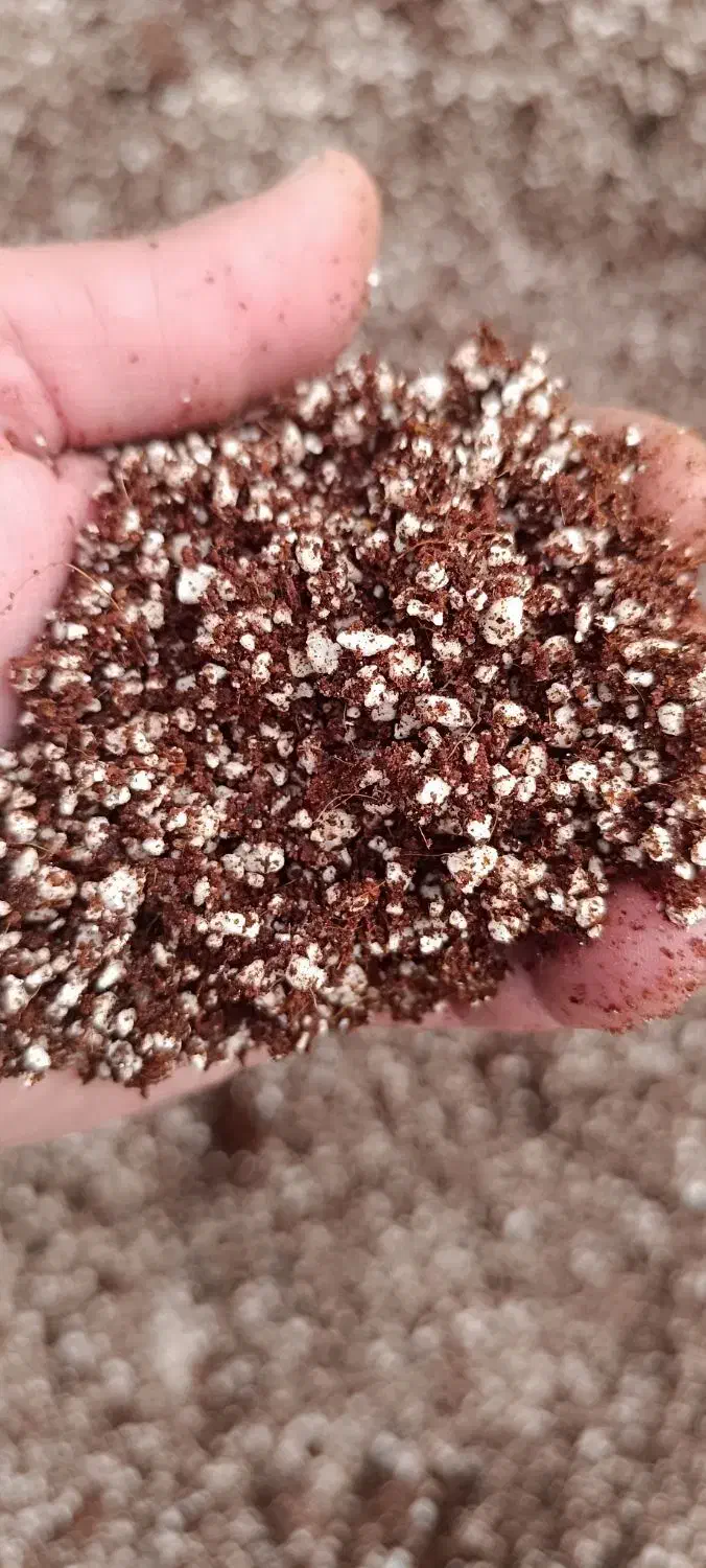 بستر کشت هیدروپونیک|گل و گیاه طبیعی|شاندیز, |دیوار