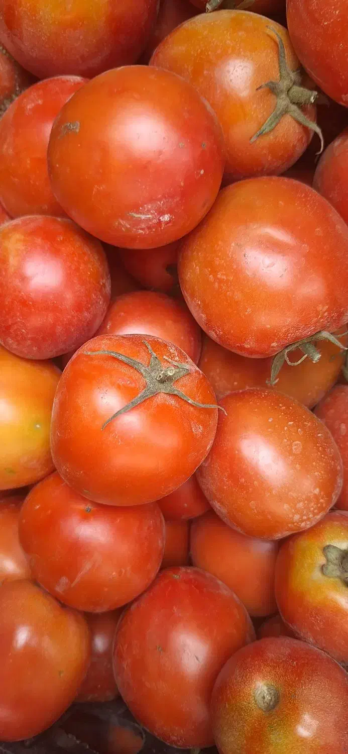 نیروی کار خانم|استخدام صنعتی، فنی، مهندسی|تهران, حکیمیه|دیوار