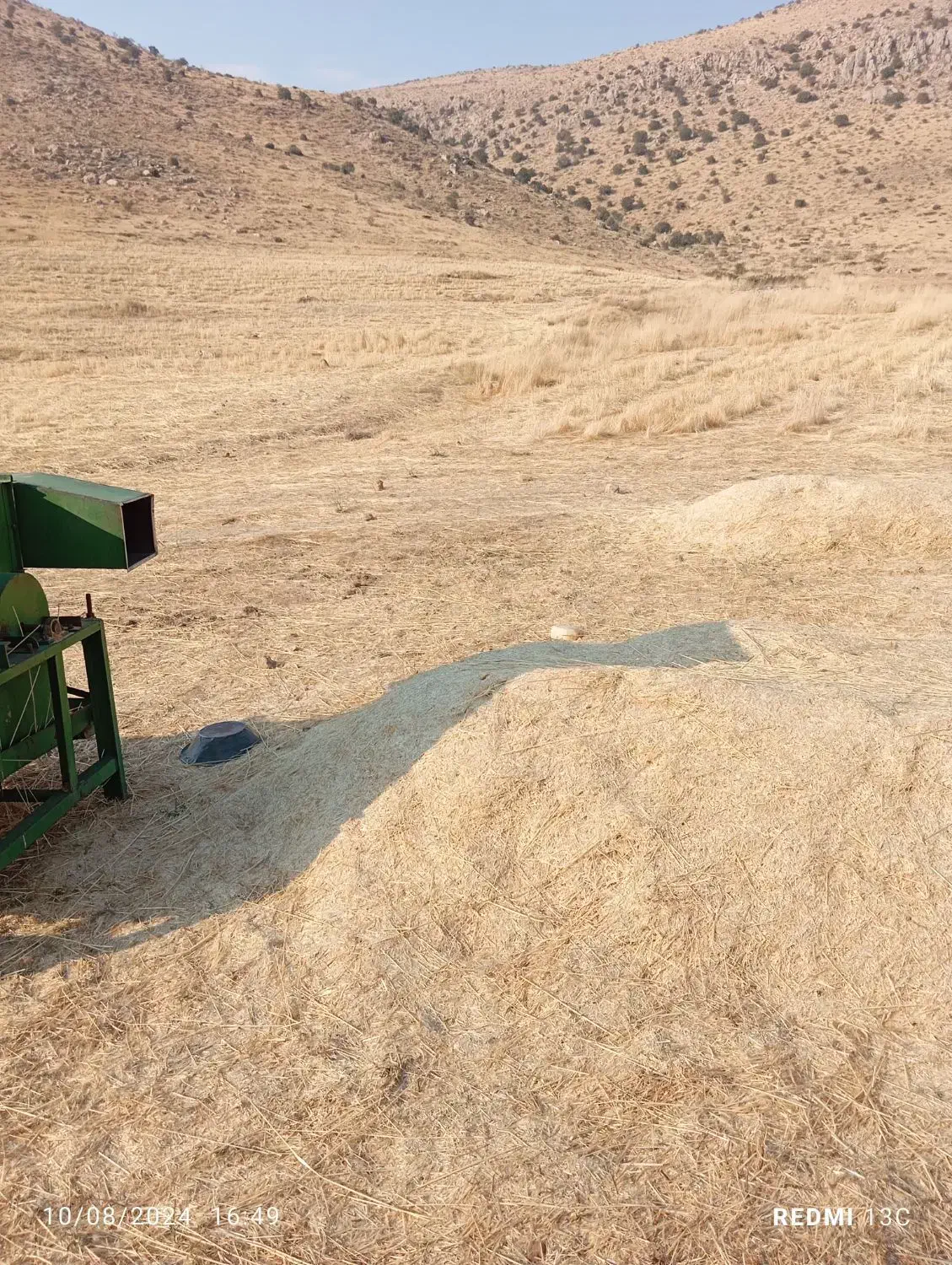 کاه سفید و سبز دس بر|حیوانات مزرعه|همایجان, |دیوار