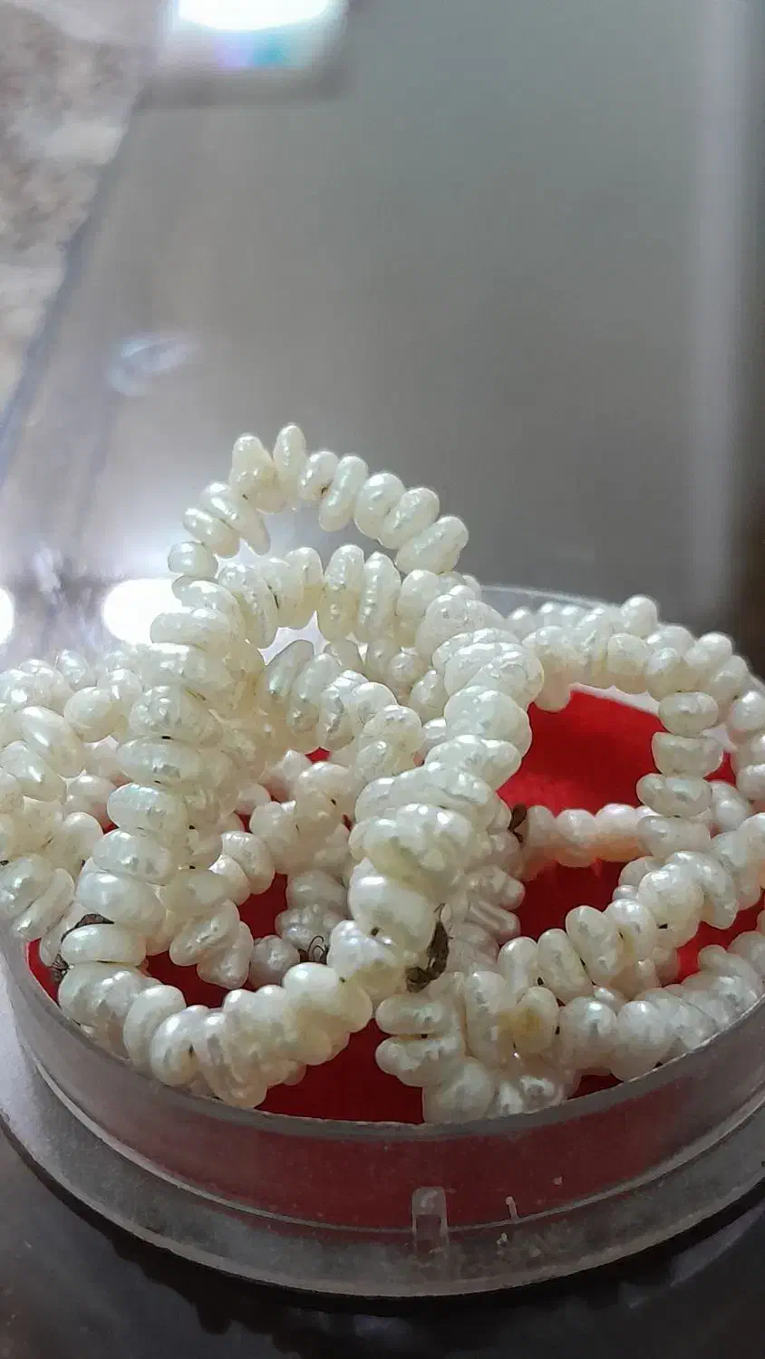 مروارید اصل پرورشی|جواهرات|زنجان, |دیوار