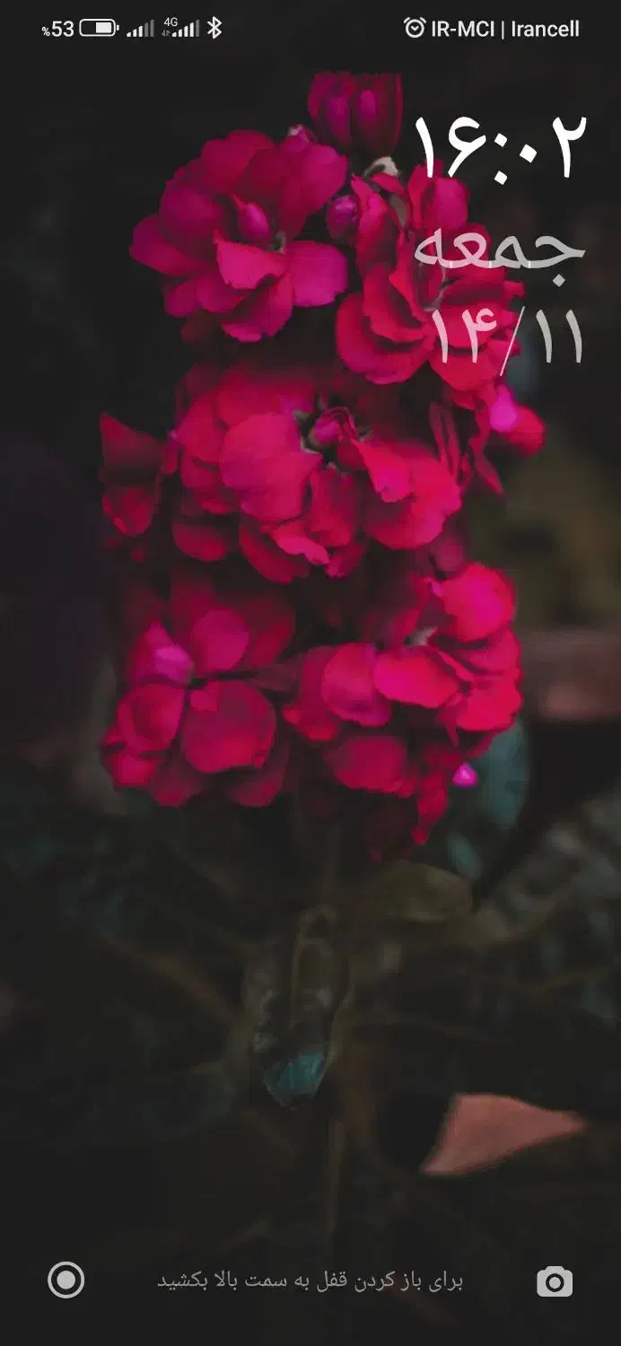 کیف مدارک گم شده|اشیا|میاندوآب, |دیوار