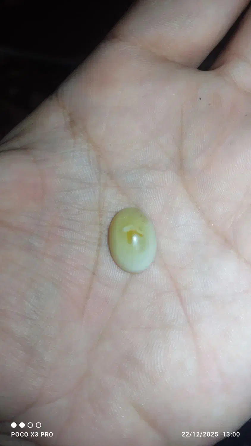 حمیدیه|جواهرات|حمیدیه, |دیوار