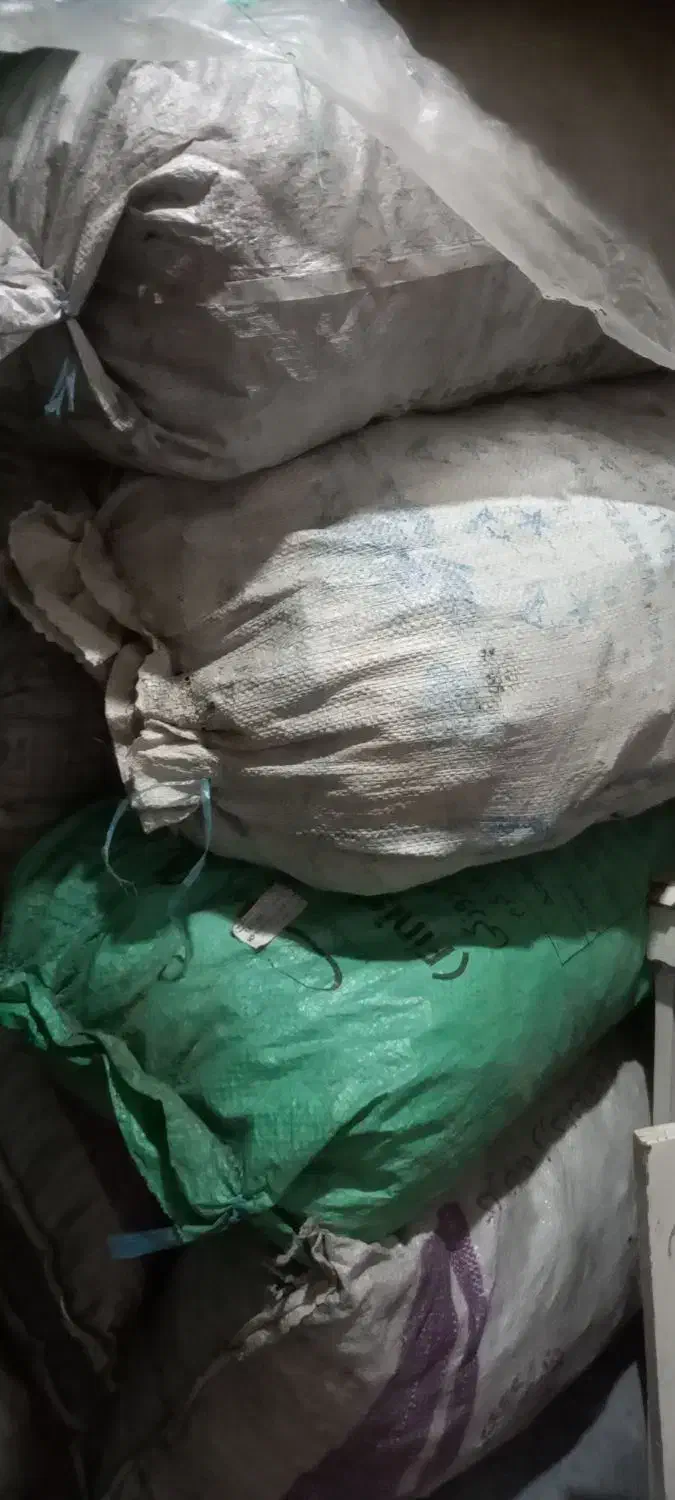 بلوطی|حراج|یاسوج, |دیوار