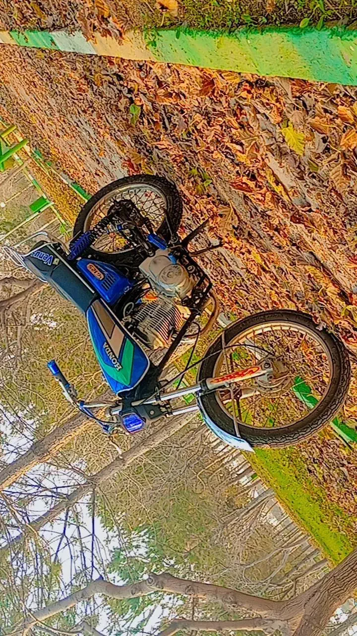 متور سیکلت مزایده ۲۵۰|موتورسیکلت|بناب, |دیوار