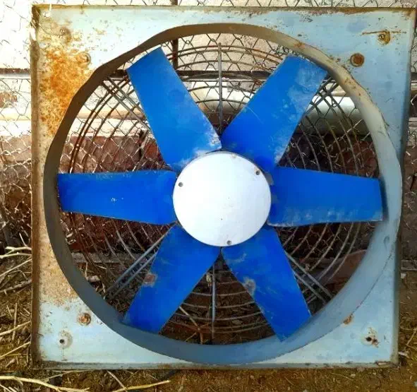 فن هواکس|پنکه و تصفیه‌کنندهٔ هوا|کرمان, |دیوار