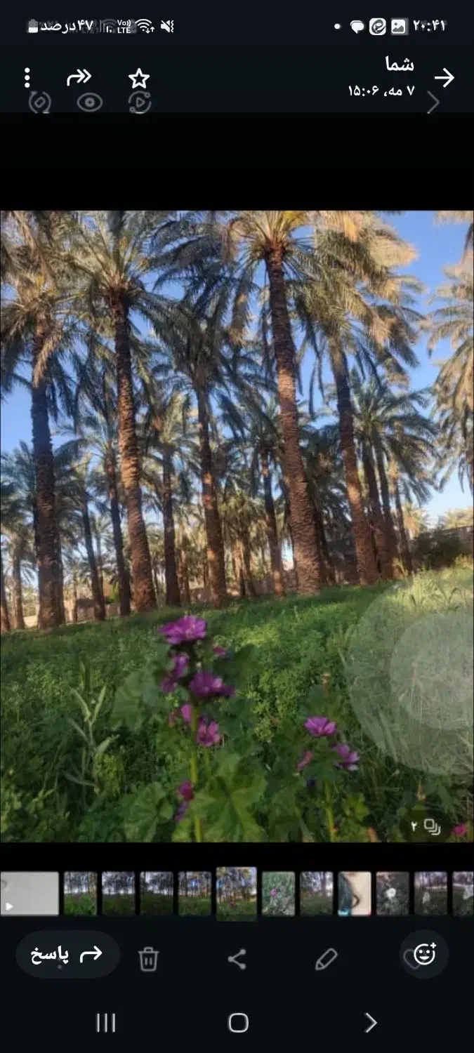 یک قطعه زمین با کاربری باغ با دستور پروانه|فروش زمین و ملک کلنگی|بم, |دیوار