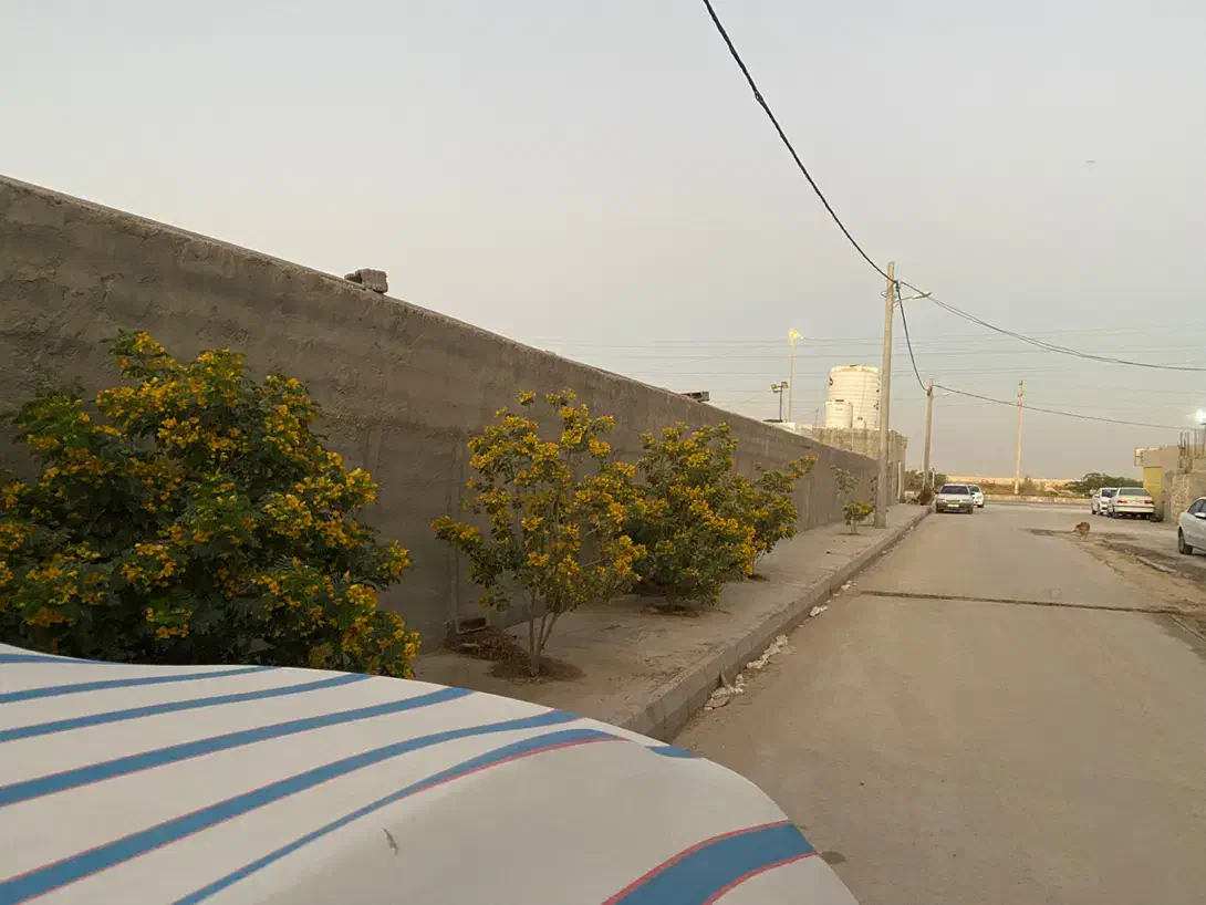 سه واحدی تنگک دوم|فروش آپارتمان|بوشهر, |دیوار