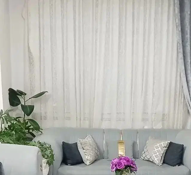 پرده|پرده، رانر، رومیزی|محمدیه-قزوین, |دیوار