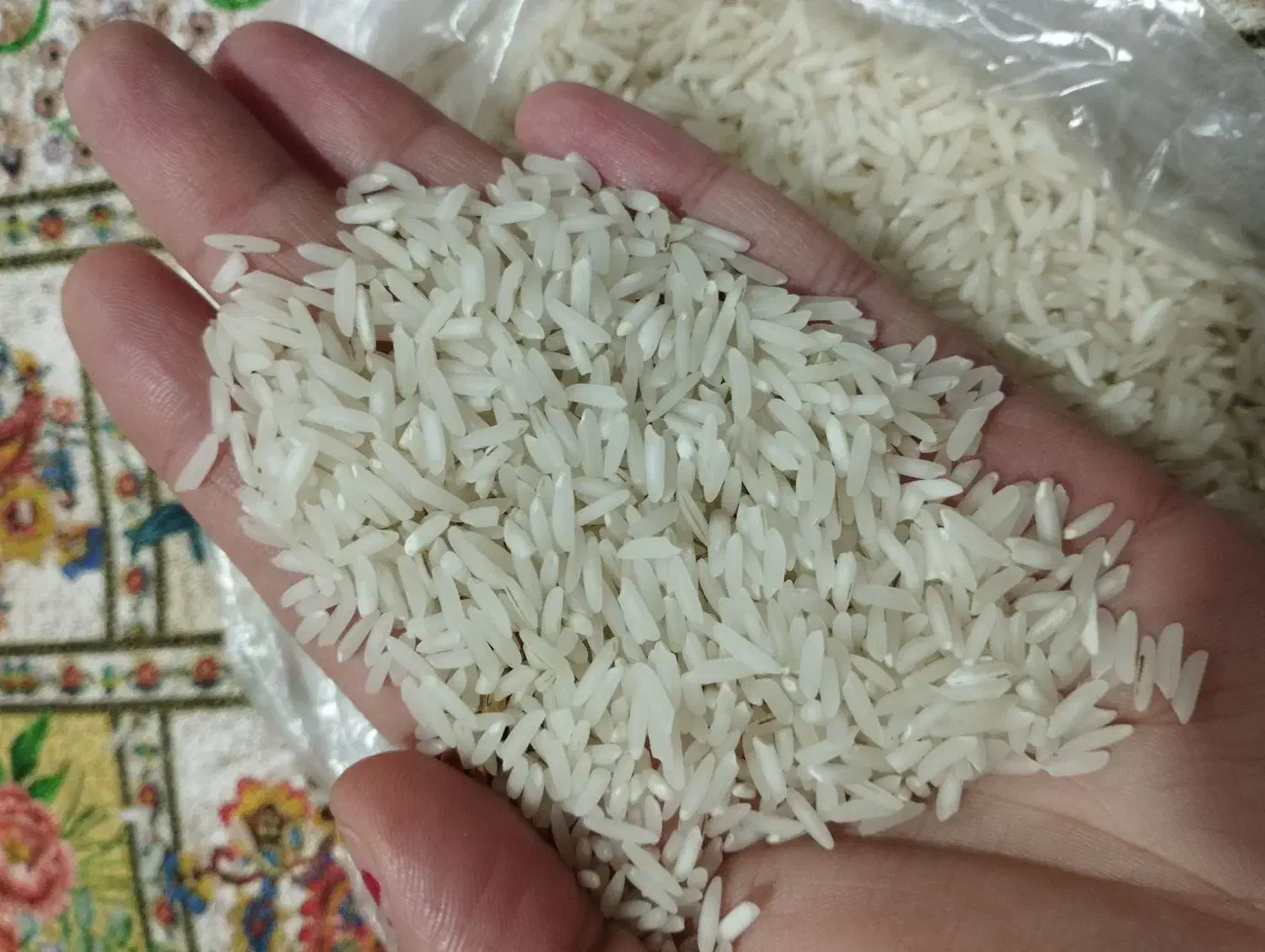 برنج طارم هاشمی دونوج|خوردنی و آشامیدنی|محمودآباد, |دیوار