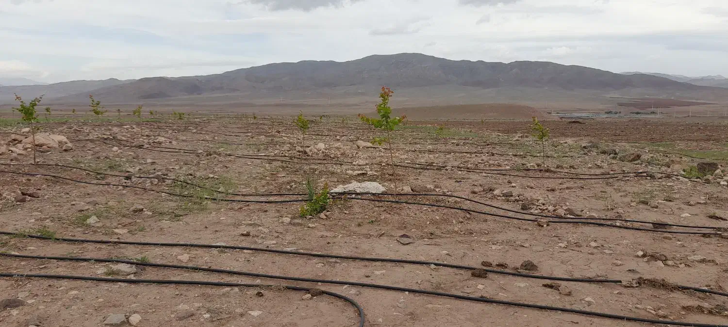 زمین کشاورزی یک هکتاری|فروش دفتر صنعتی، کشاورزی، تجاری|جلفا, |دیوار