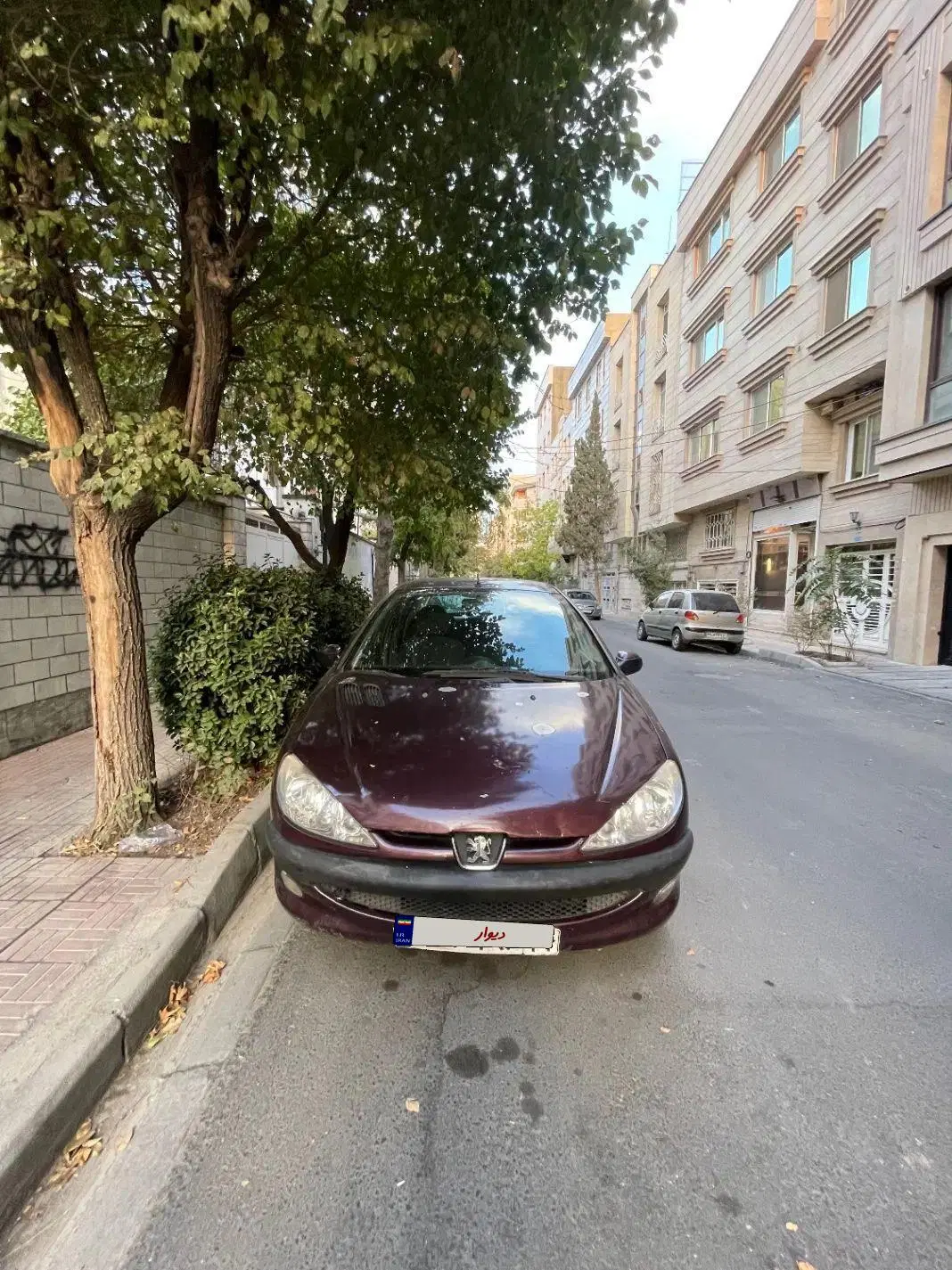 پژو۲۰۶ sd v9 مدل ۸۸|خودرو سواری و وانت|تهران, زعفرانیه|دیوار