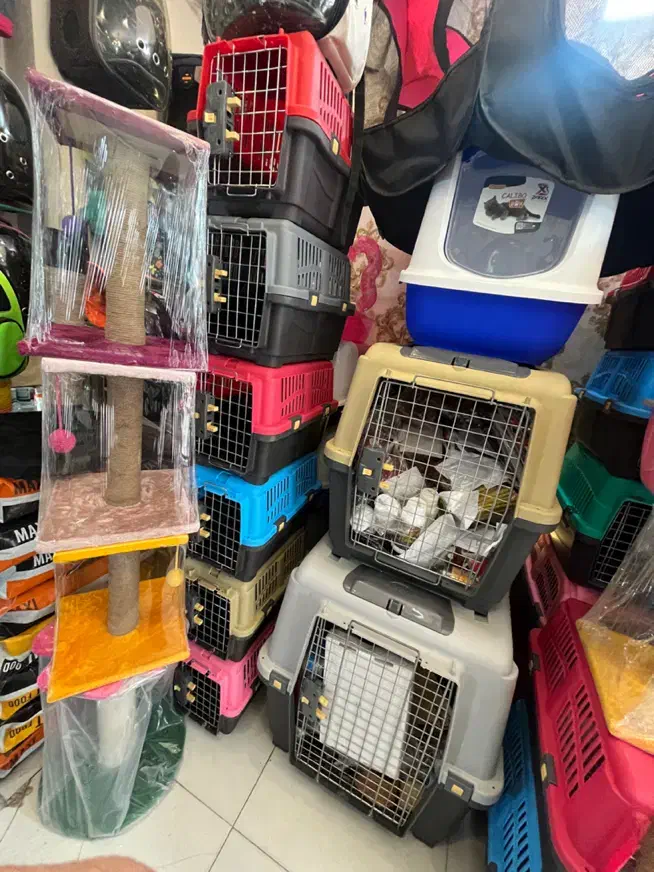 شهر کوله اسکرچر باکس|لوازم جانبی حیوانات|مشهد, گلبرگ|دیوار