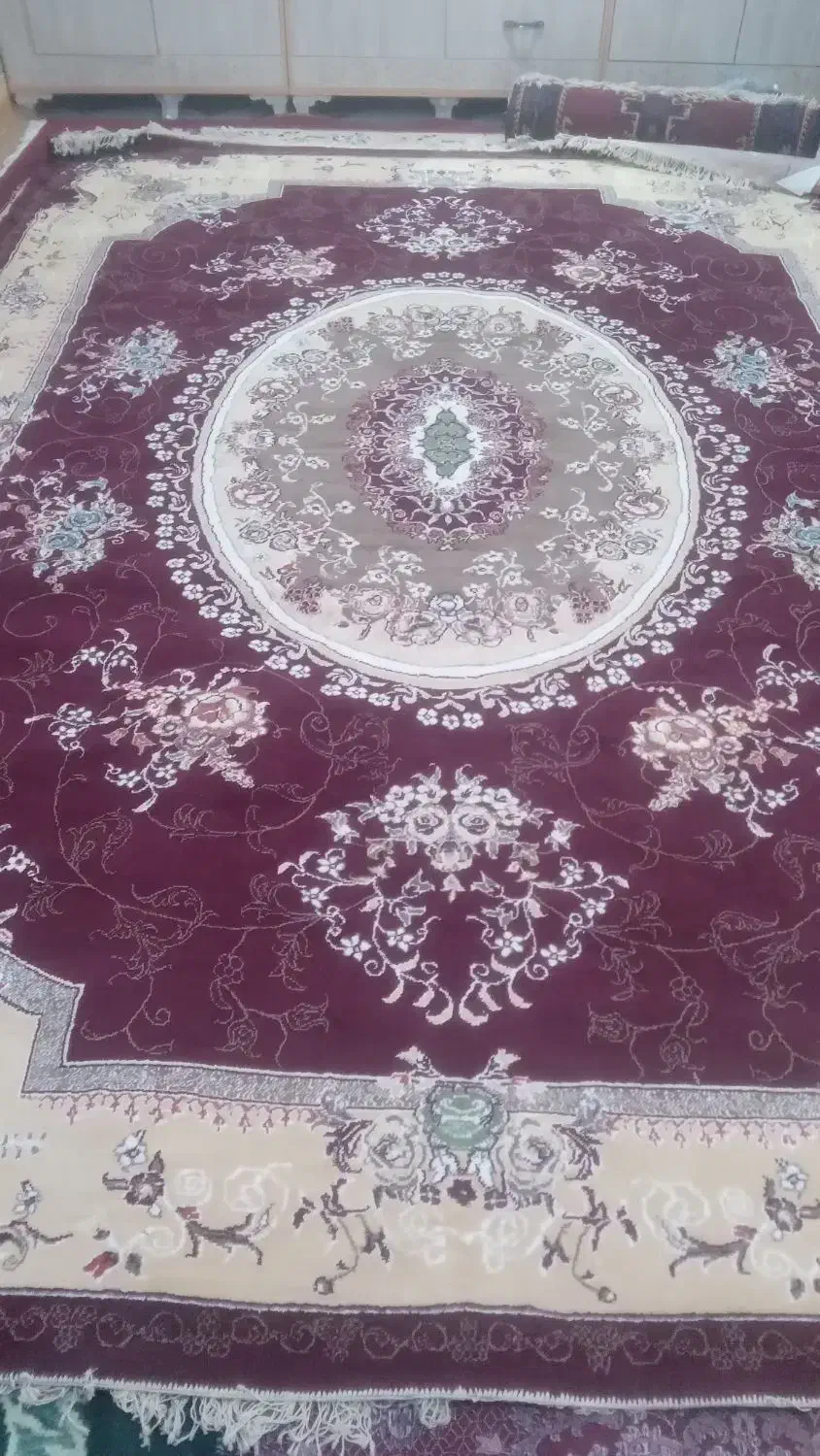 یک فرش ۱۲ متری در حد اک|فرش|شادگان, |دیوار