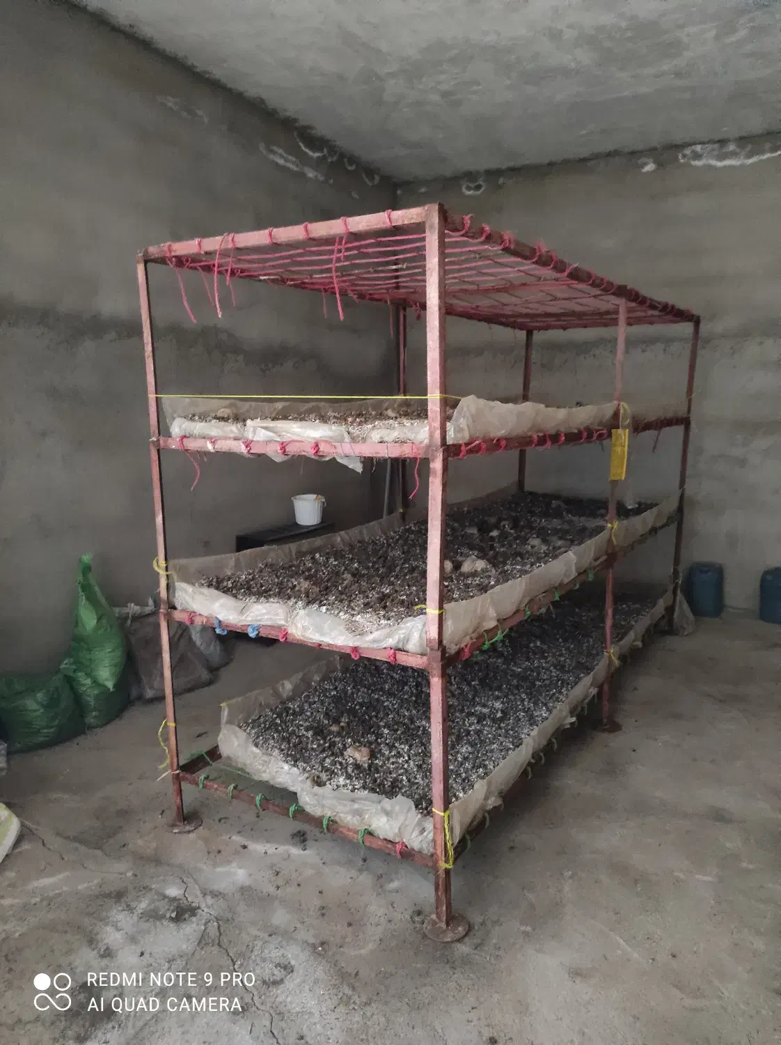 تجهیزات پرورش قارچ|ابزارآلات|تبریز, |دیوار