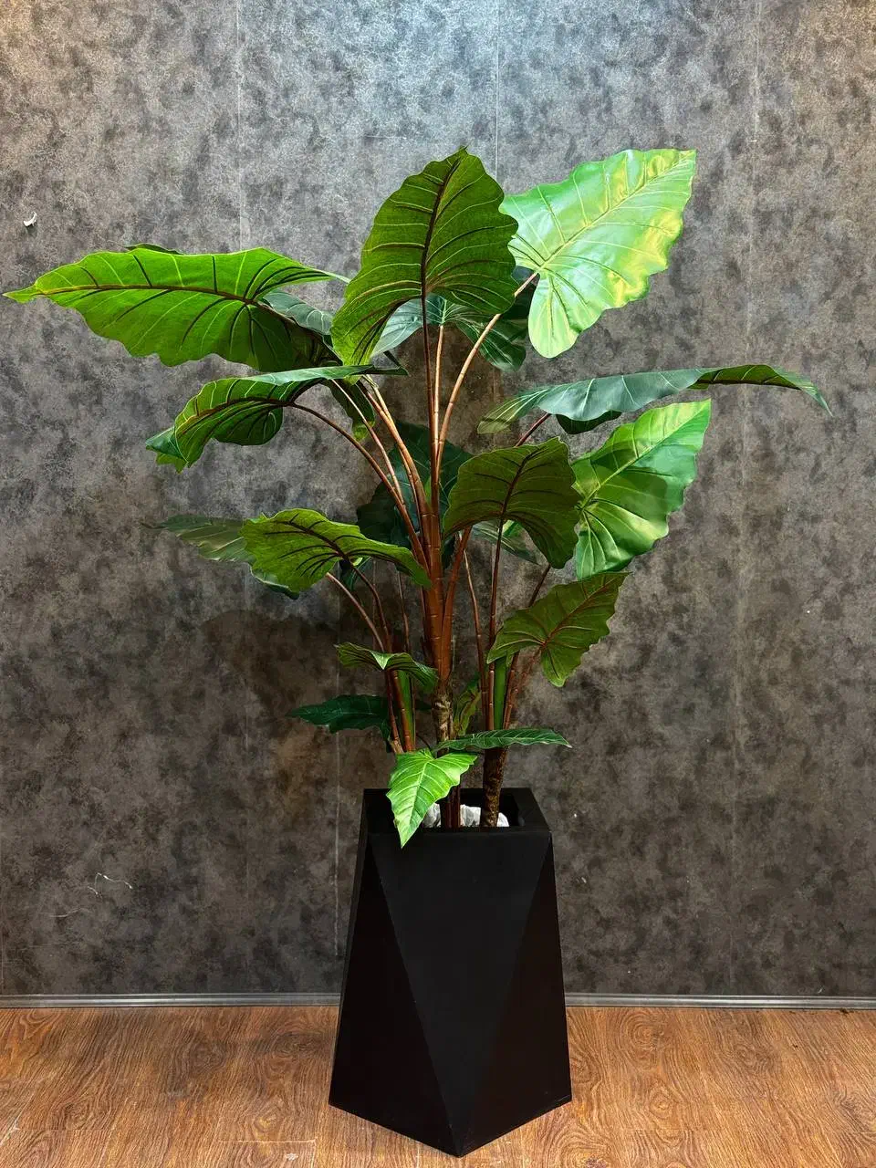 بابا آدم|گل مصنوعی|کرج, ساماندهی|دیوار